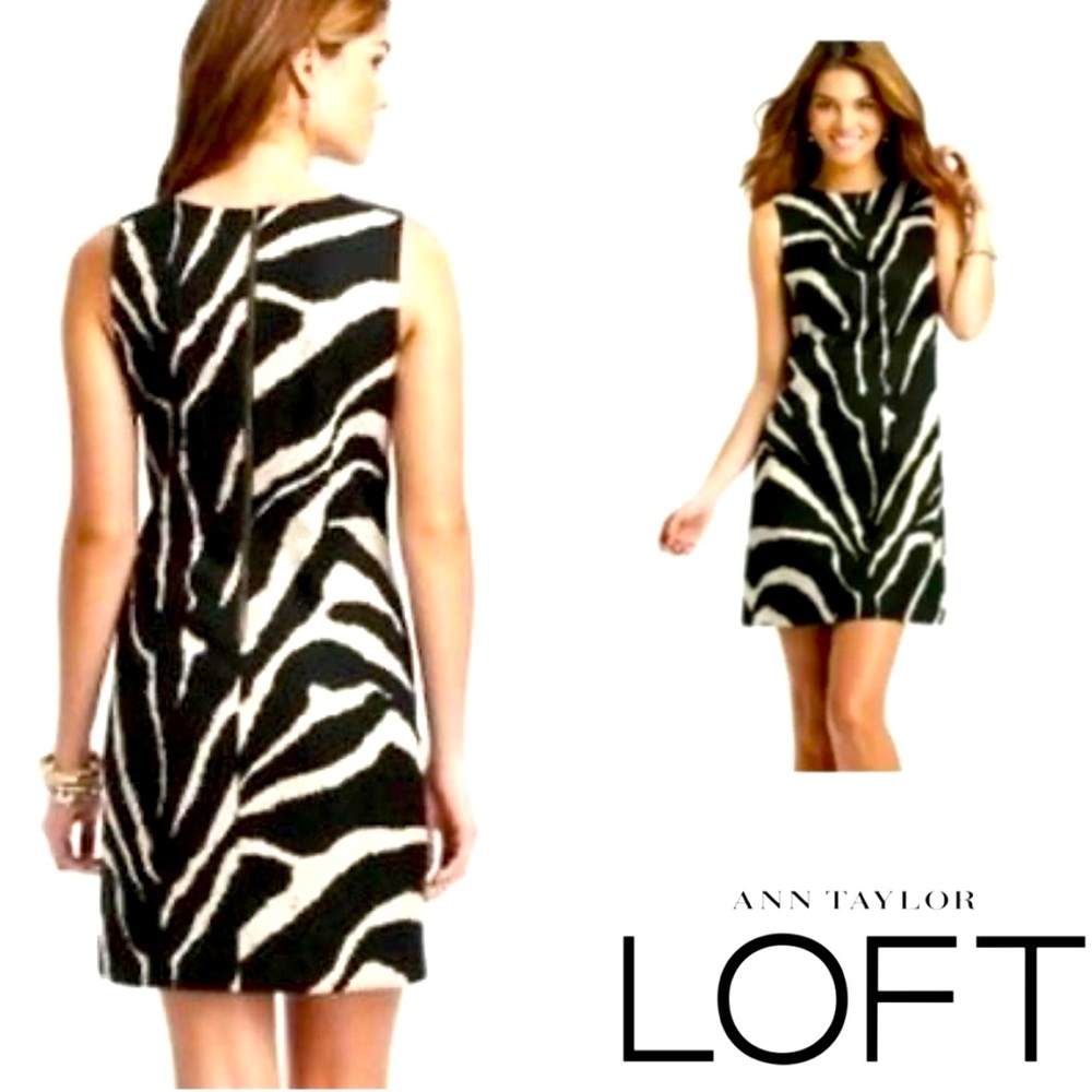 Ann Taylor Loft Zebra Shift Dress | 6P